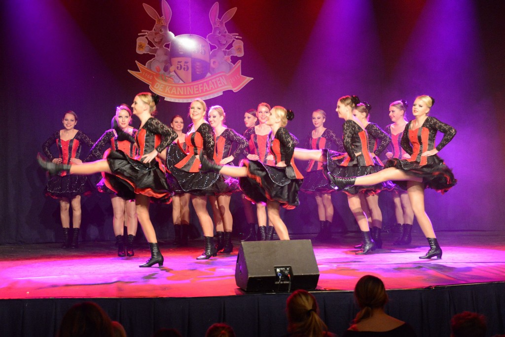 ../Images/Dansmarieke festival 2015 254.jpg